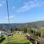 Dzeni