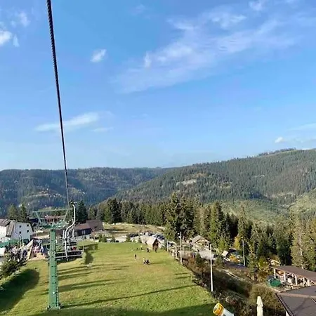 Dzeni