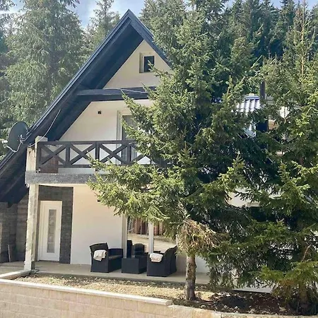 Dzeni Dağ evi *