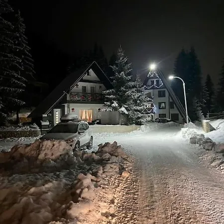 Dzeni Власич