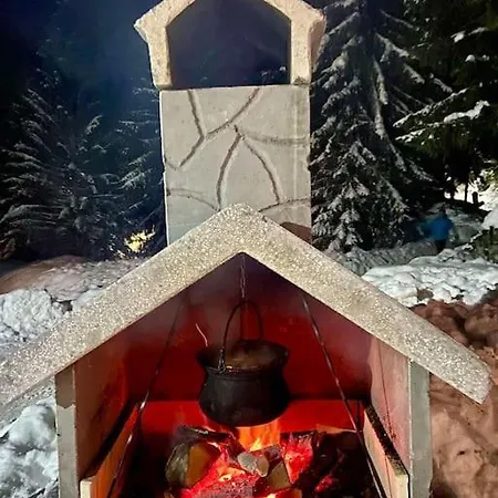 Dzeni Dağ evi *