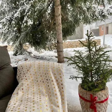 Dzeni Dağ evi Vlasic