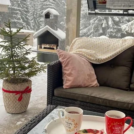 Dzeni Dağ evi *