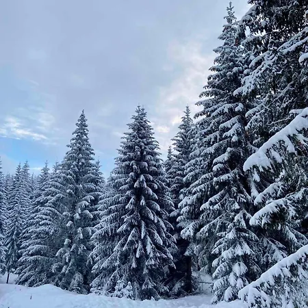 Dzeni Dağ evi Vlasic