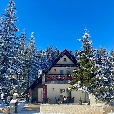 Dzeni Chalet