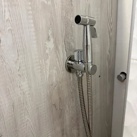 شاليه Dzeni *